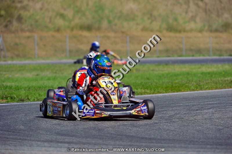 DSC_ (1321).jpg